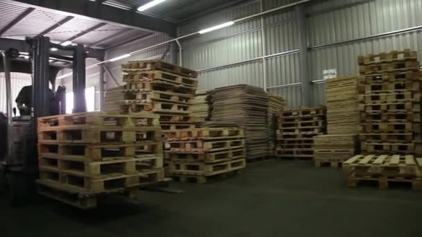 Forklifts in Factory — Stock Video