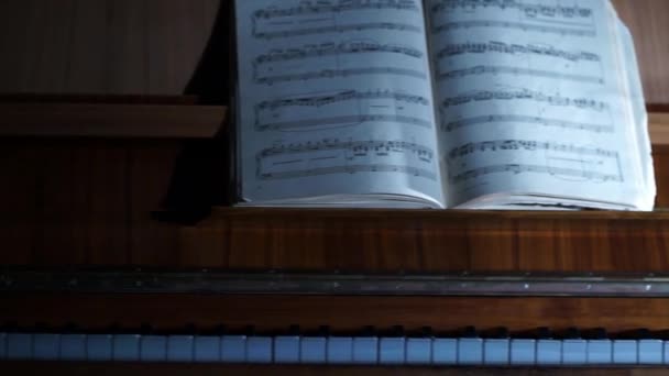 Pianoforte — Video Stock