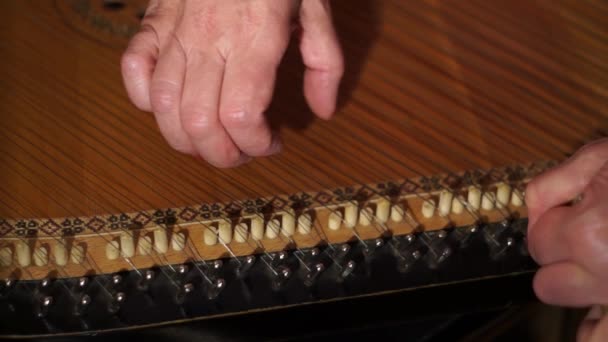 Oekraïense folk muziekinstrument — Stockvideo