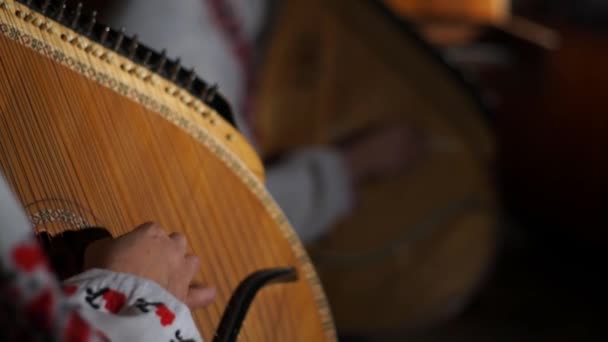 Ukrainian folk musical instrument — Stock Video