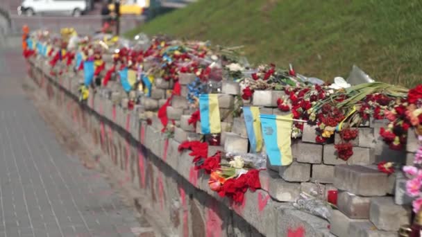 Denkmal himmlische hundert ukraine — Stockvideo