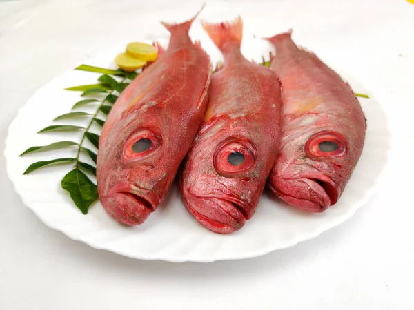 Fresh Finned Bulls Eye Fish Priacanthus Hamrur Moontail Bullseye Fish — Stock Photo, Image