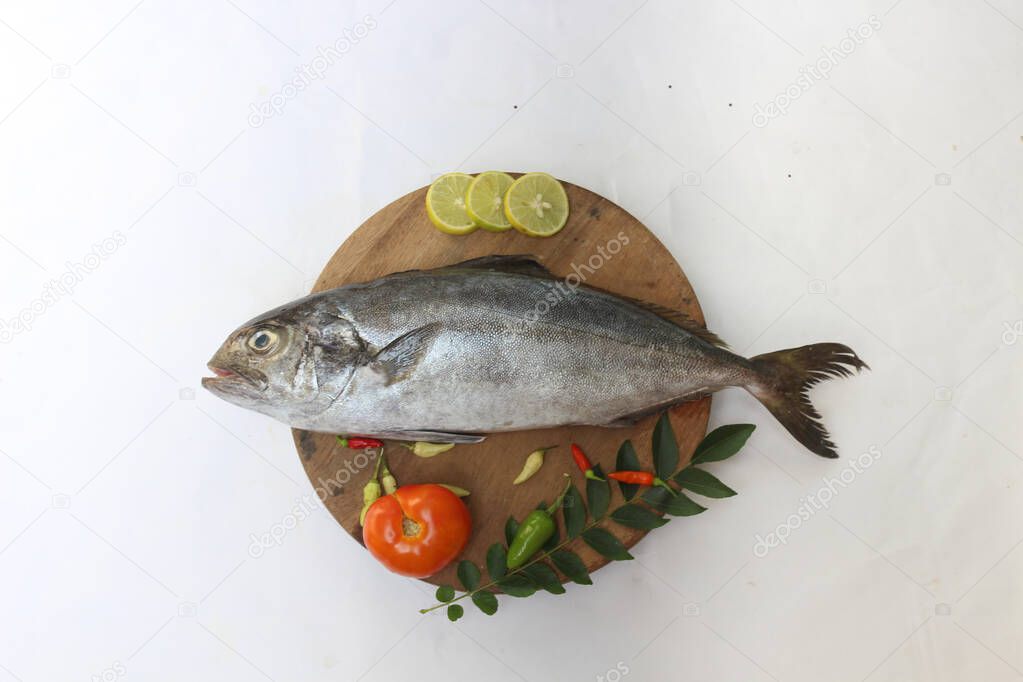 Fresh Butter Fish/Amberjack Fish/Allied kingfish (Seriola Dumerilli) Decorated with herbs and vegetables, white Background.Selective focus.