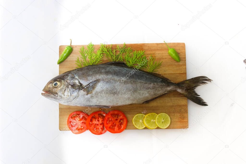 Fresh Butter Fish/Amberjack Fish/Allied kingfish (Seriola Dumerilli) Decorated with herbs and vegetables, white Background.Selective focus.