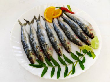 Beyaz bir tabakta taze Hint yağlı sardalyasını yakından görmek, otlar ve sebzelerle süslenmiş. Beyaz arka plan..