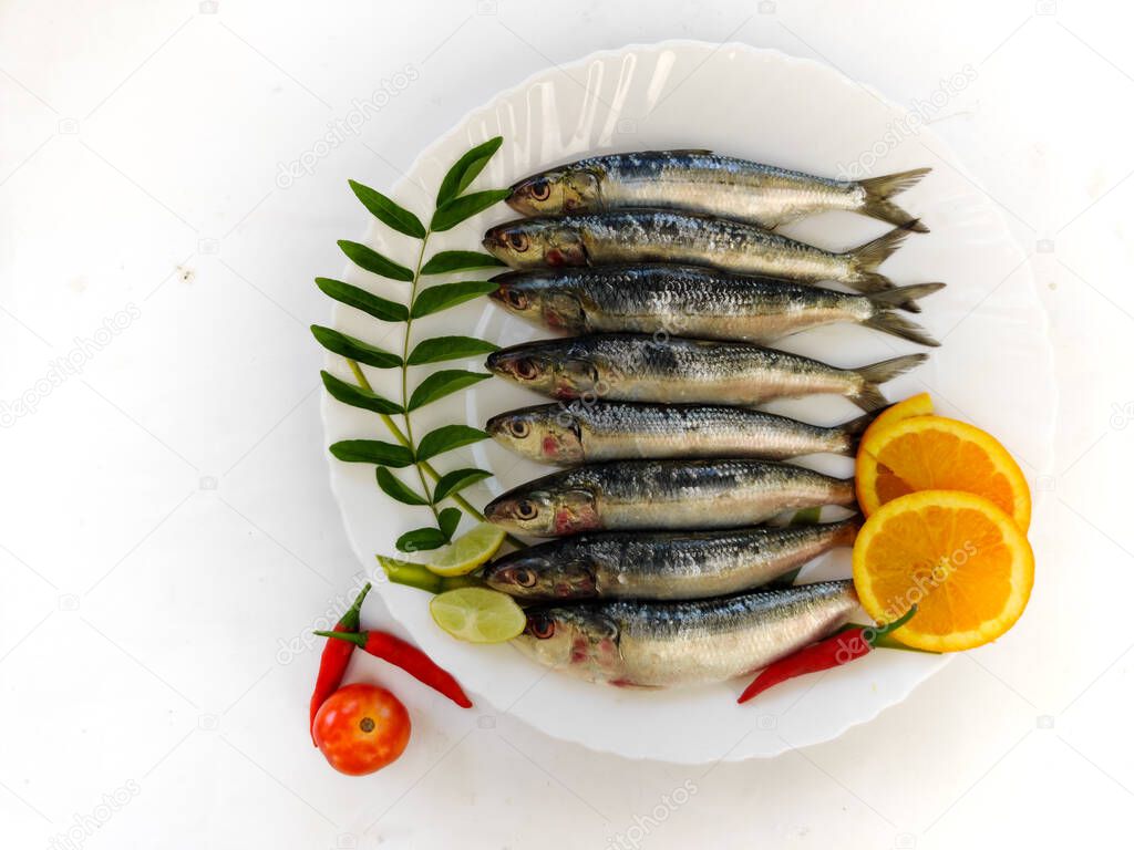 Close up view of Fresh Indian oil sardine on a white plate,Decorated with herbs and Vegetables.White Background.