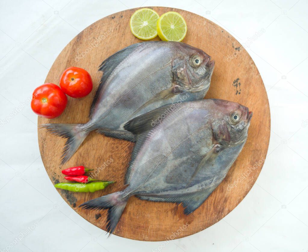 Closeup view of Black Pomfret fish decorated with Vegetables and herbs on a wooden Pad,White Background.