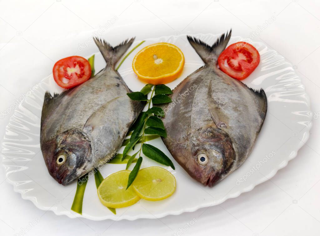Closeup view of Black Pomfret fish decorated with Vegetables and herbs on a white plate,White Background.