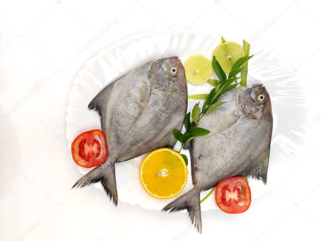 Closeup view of Black Pomfret fish decorated with Vegetables and herbs on a white plate,White Background.