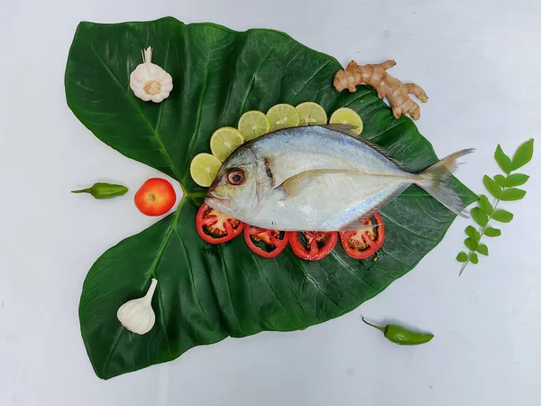 มมองใกล ดของปลาสด Malabar Trevally ตกแต วยใบเคอร มะเข อเทศ นมะนาวและสม นไพรบนพ — ภาพถ่ายสต็อก