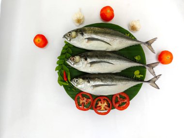 Close up view of fresh Finletted Mackerel Fish/ Torpedo Scad Fish decorated with curry leaves , tomato,lemon slice and herbs on a white Background.Selective Focus.