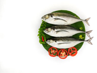 Close up view of fresh Finletted Mackerel Fish/ Torpedo Scad Fish decorated with curry leaves , tomato,lemon slice and herbs on a white Background.Selective Focus.Space for text.
