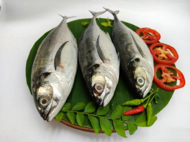 Close up view of fresh Finletted Mackerel Fish/ Torpedo Scad Fish decorated with curry leaves , tomato,lemon slice and herbs on a white Background.Selective Focus.