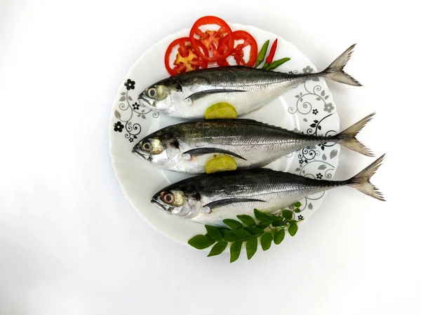 Close View Fresh Finletted Mackerel Fish Torpedo Scad Fish Decorated — Stock Fotó