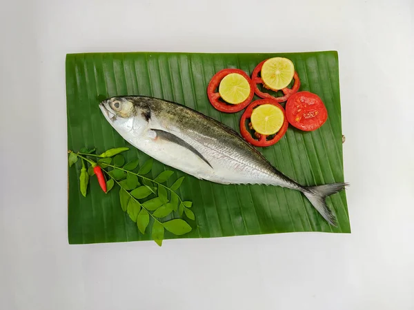 Close up view of fresh Finletted Mackerel Fish/ Torpedo Scad Fish decorated with curry leaves , tomato,lemon slice and herbs on a white Background.Selective Focus.