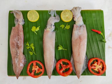 Close up view of fresh raw Loligo Squid (Loligo Duvauceli) decorated with curry leaves , tomato,lemon slice and herbs on a white Background,Selective Focus. Background.Selective Focus.