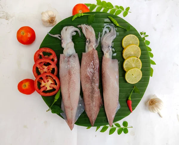 Close View Fresh Raw Loligo Squid Loligo Duvauceli Decorated Curry — Stockfoto