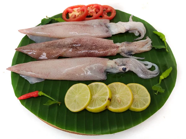 Nahaufnahme Von Frischen Rohen Loligo Tintenfischen Loligo Duvauceli Mit Curryblättern — Stockfoto