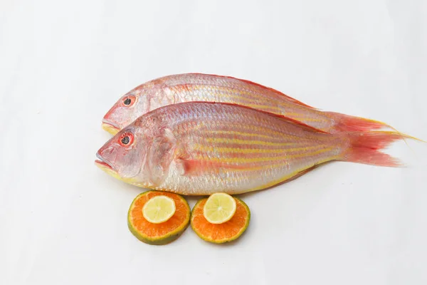 Close View Fresh Pink Perch Thread Finned Bream Versierd Met — Stockfoto