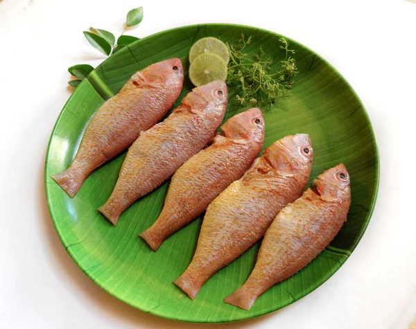 Close View Fresh Ready Cook Whole Cleaned Pink Perch Fish — Φωτογραφία Αρχείου