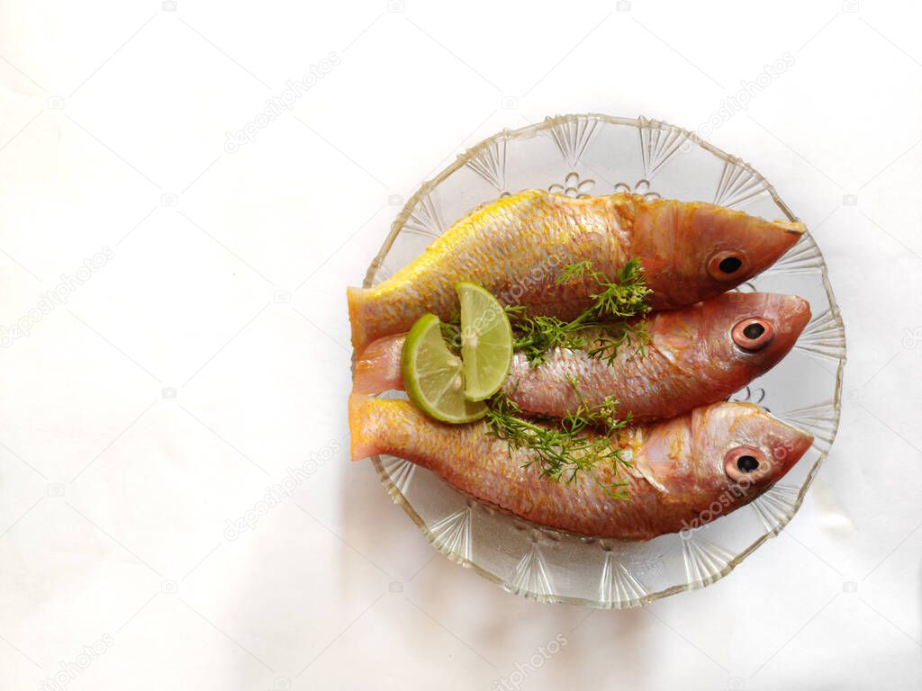 Close up view of fresh ready to cook whole cleaned pink perch fish decorated on a white bowl with lemon slice and herbs.white background,selective focus.space for text.