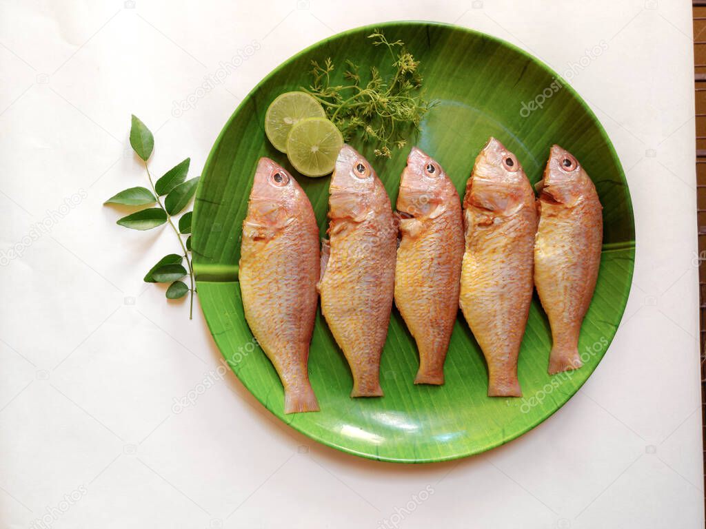 Close up view of fresh ready to cook whole cleaned pink perch fish decorated on a green plate with lemon slice and herbs.white background,selective focus.