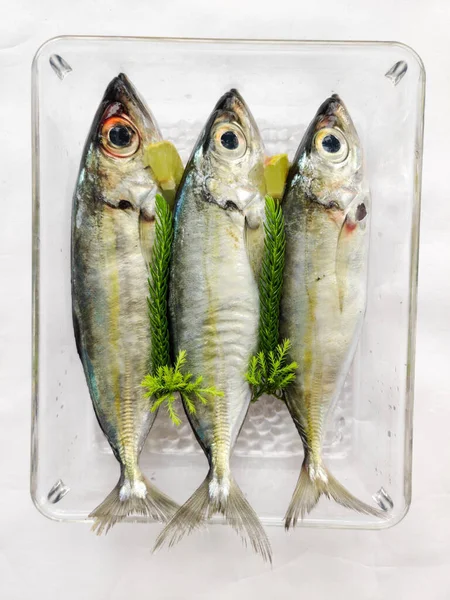 Närbild Färska Indiska Scad Fish Dekorerad Med Örter Och Grönsaker — Stockfoto