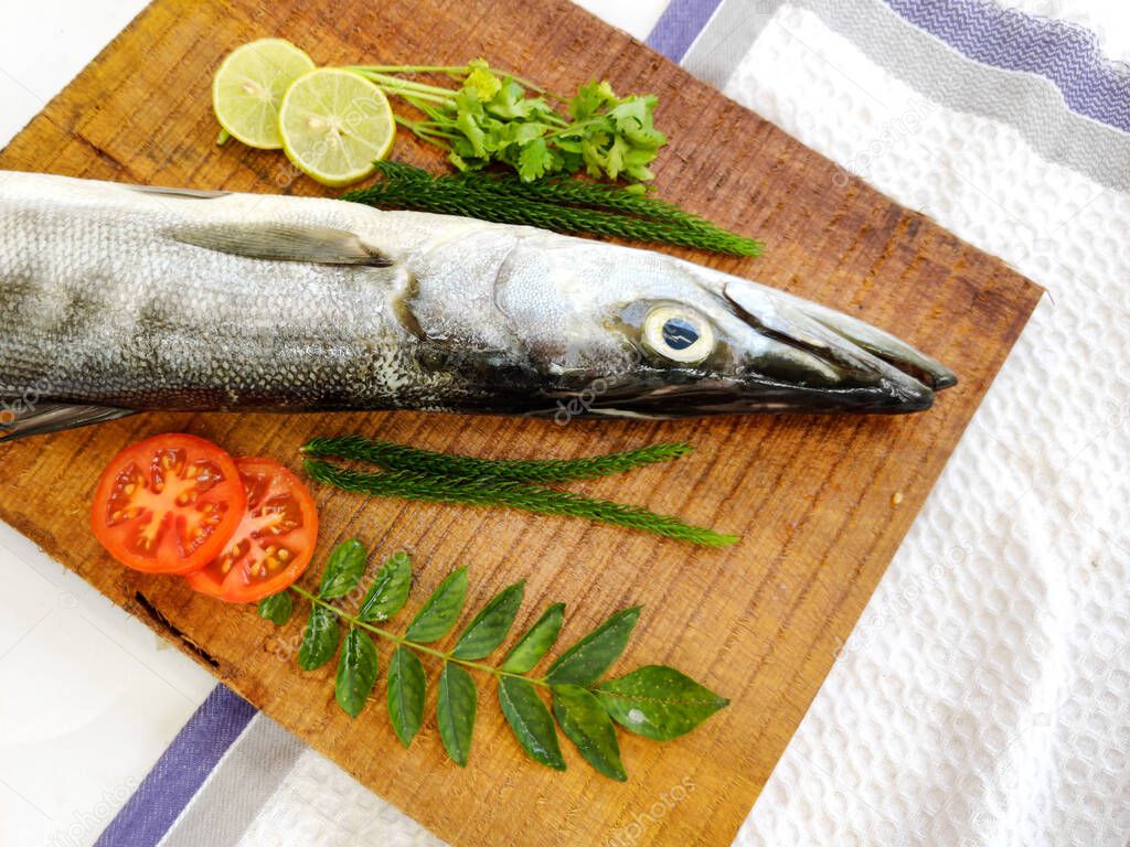 Fresh Barracuda fish or sea pike fish decorated with herbs and vegetables on a wooden pad.White background.Selective focus