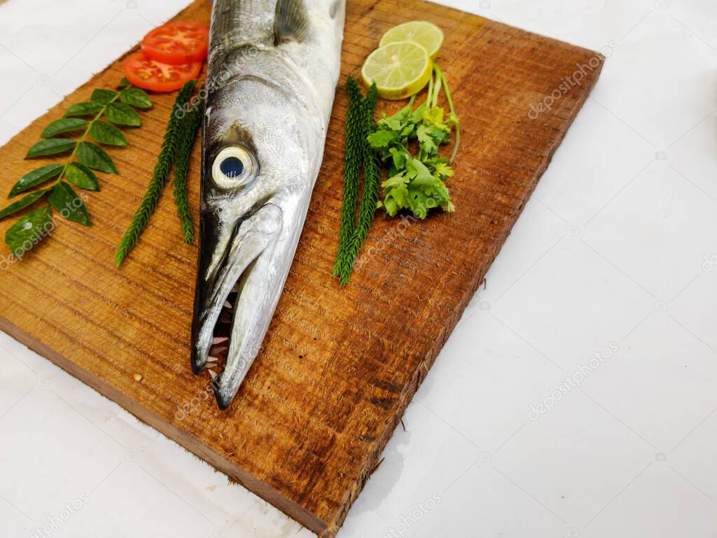 Fresh Barracuda fish or sea pike fish decorated with herbs and vegetables on a wooden pad.White background.Selective focus