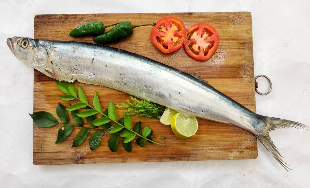 Fresh Dorab wolf herring fish decorated with herbs and vegetables on a wooden pad,White background.Selective focus.