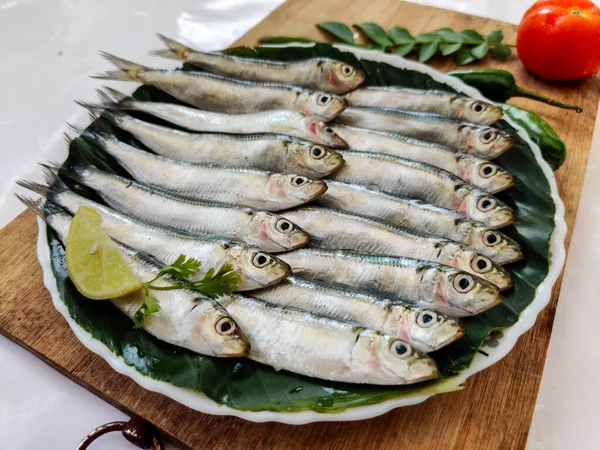 Список Викопних Птахів Fresh Indian Oil Sardine Described Herbs Economy — стокове фото