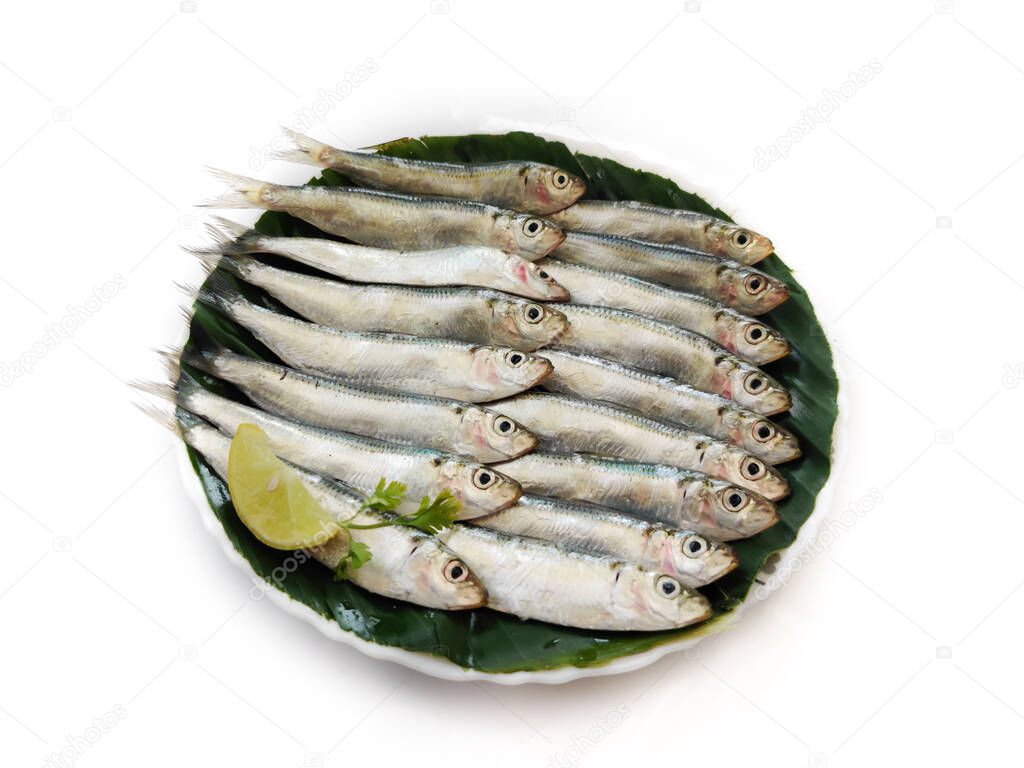 Closeup view of Fresh Indian oil Sardine decorated with herbs and vegetables,Selective focus.White Background.