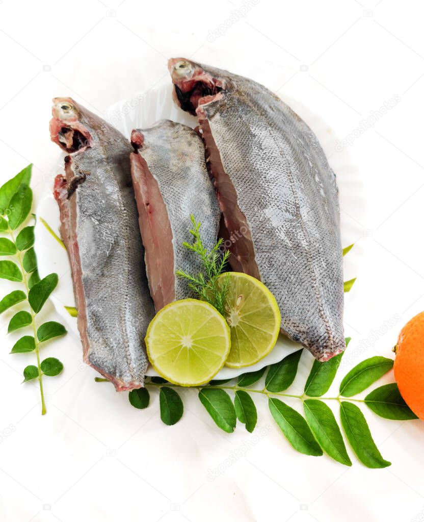 Fresh Ready to cook Black pomfret fish isolated on white background.Selective focus.