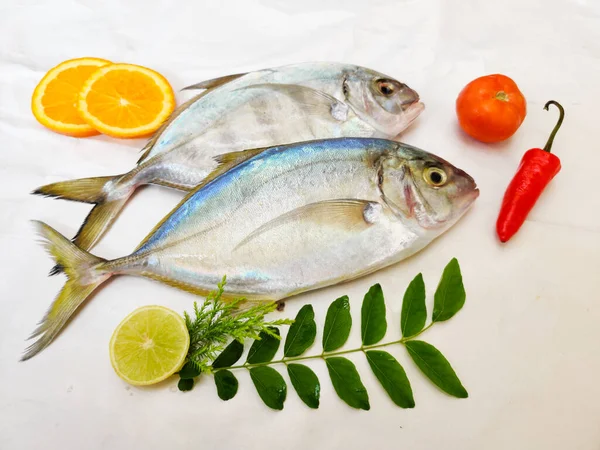 Färsk Malabar Trevally Fisk Dekorerad Med Örter Och Frukter Isolerad — Stockfoto