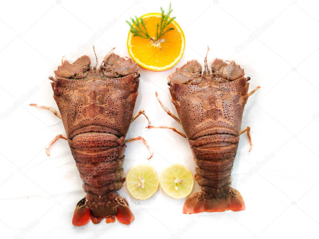 Fresh Sand Lobster or Flathead Lobster or Slipper Lobster decorated with herbs and vegetables .Selective focus.