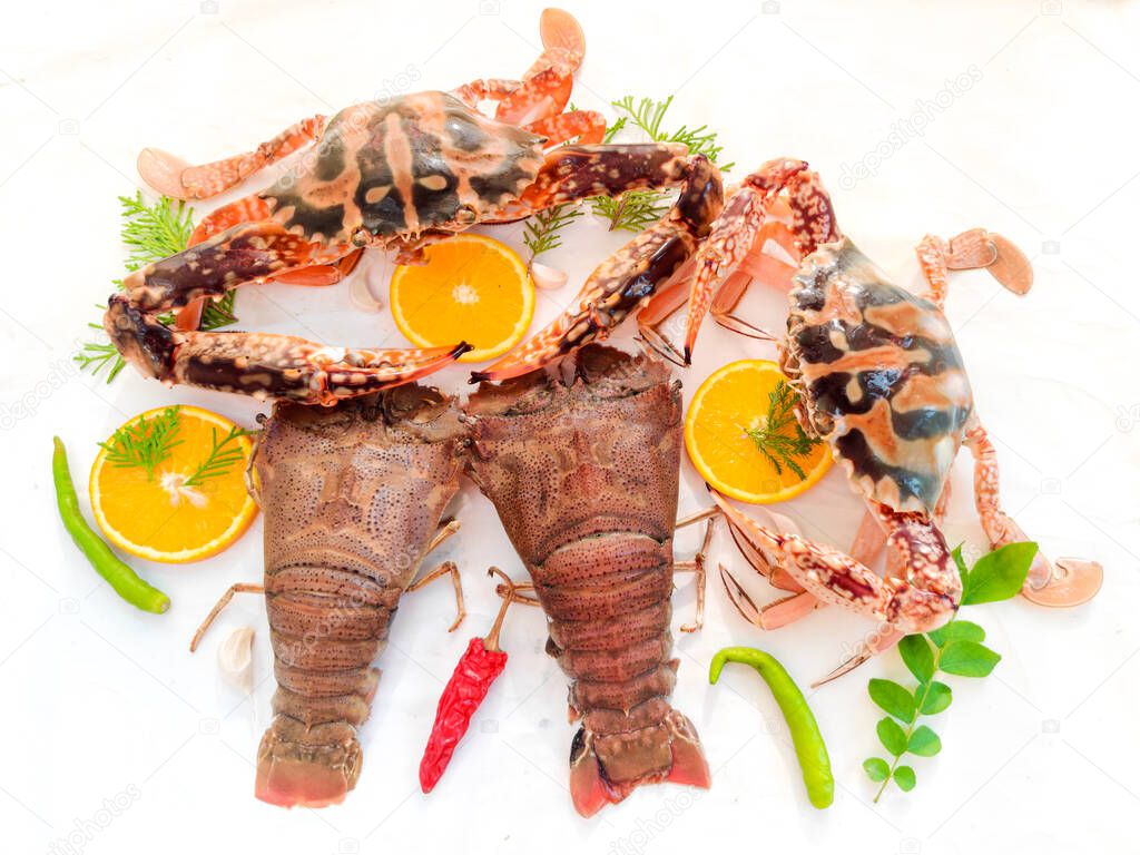 Fresh Crucifix Crab and sand lobster decorated with herbs and fruits.Isolated on white background.Selective focus.Sea food concept.
