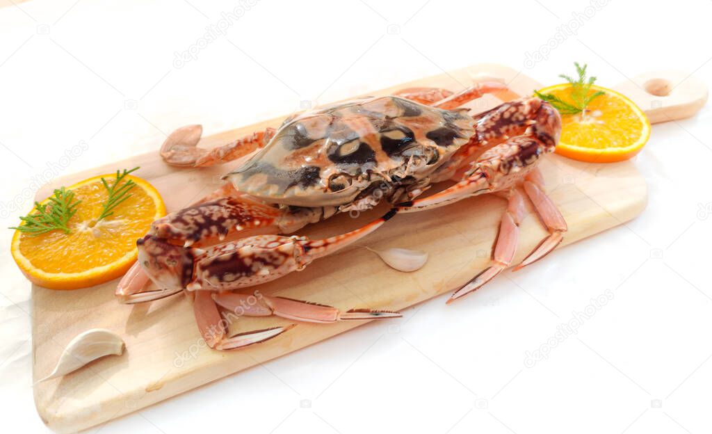 Fresh Crucifix Crab decorated with herbs and fruits on a wooden pad.Isolated on white background.Selective focus.