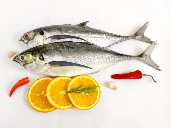 Close View Fresh Finletted Mackerel Fish Torpedo Scad Fish Izolované — Stock fotografie