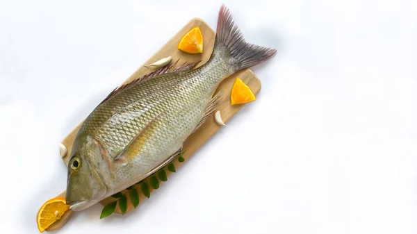 新鲜的帝王鱼 用香草和蔬菜装饰在木坛上 — 图库照片