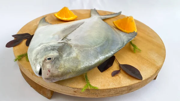 Gümüş Pomfret 'in üst görüntüsü, Beyaz Pomfret balık yemeği çeşitli malzemelerle pişiriliyor. Tahta bloknotta süslenmiş taze çiğ balık, beyaz arka plan..