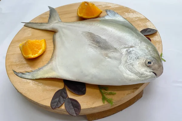 Gümüş Pomfret 'in üst görüntüsü, Beyaz Pomfret balık yemeği çeşitli malzemelerle pişiriliyor. Tahta bloknotta süslenmiş taze çiğ balık, beyaz arka plan..