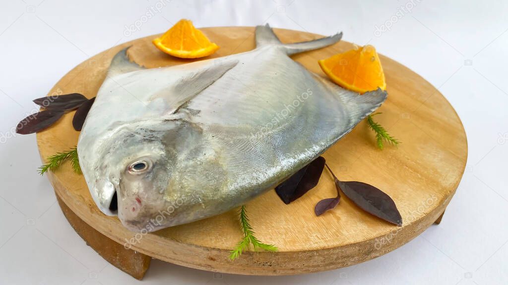 Top view of Silver Pomfret,White Pomfret fish dish cooking with various ingredients. Fresh raw fish decorated on a wooden pad, white background.Selective focus.
