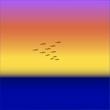 günbatımı, kuşlar