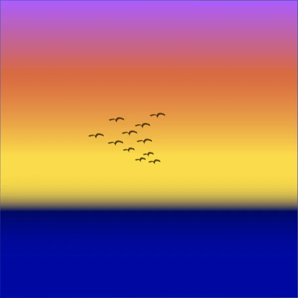 günbatımı, kuşlar