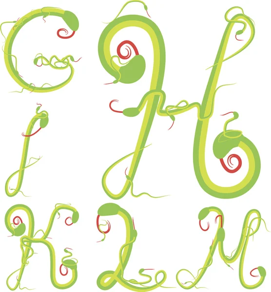 Yılan alfabe yeşil vektör