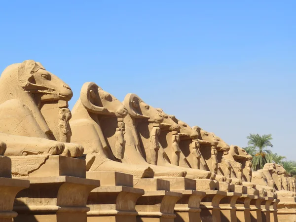 Ruinerna av templet i memorial komplex av Karnak. Avenyer — Stockfoto