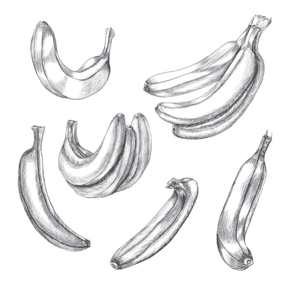 Sketch bananas set — Stock Vector