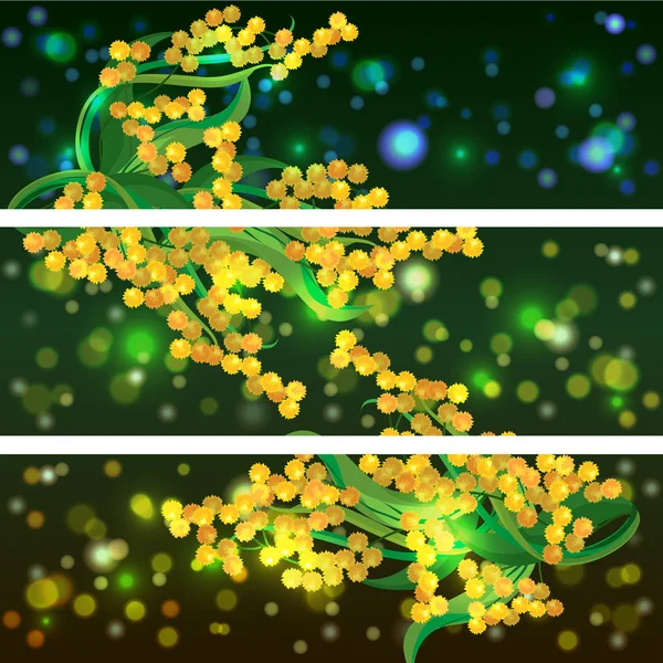 Bannières, milieux avec fleur de mimosa — Image vectorielle