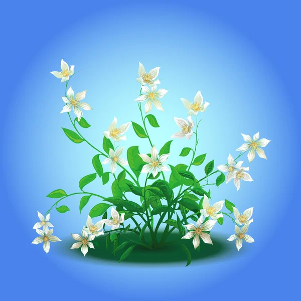 Bush con fiori in fiore — Vettoriale Stock