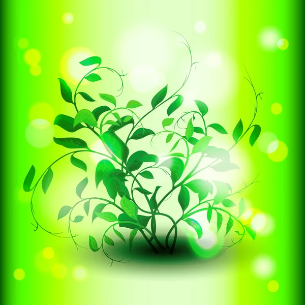Arbusto verde con hojas — Archivo Imágenes Vectoriales